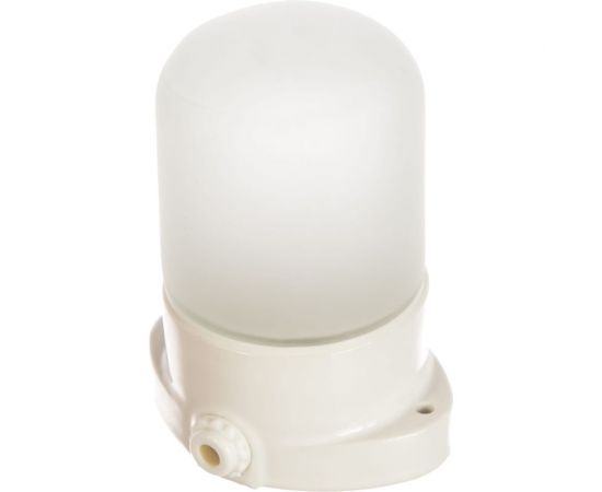 Светильник для сауны белый TDM НПБ400 SQ0303-0048 – изображение 3