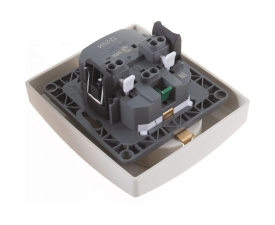 Розетка ЭРА 12-2104-02 2X2P+E Schuko со шторками, 16АХ-250В, слоновая кость Б0014700 – изображение 3