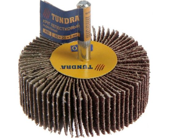 Круг лепестковый радиальный (60х20х6 мм; Р80) TUNDRA 1875464 