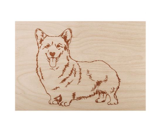 Доски для выжигания REXANT «Набор № 2 формат А5» 12-0937 – изображение 6