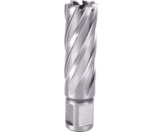 Фреза кольцевая №13 (20х55/88 мм; WELDON19; HSS M2) Профоснастка 40101013 – изображение 2