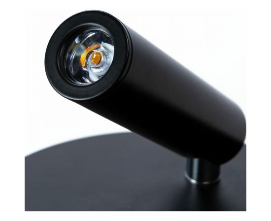 Настенный светильник Arte Lamp ELECTRA A8232AP-1BK – изображение 3