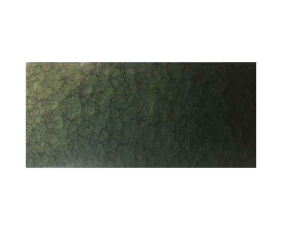 Грунт-эмаль 3-в-1 с молотковым эффектом Ferumprotect-202 ТЕМНО-ЗЕЛЕНАЯ 009 0,8 кг ЗОР00009084 – изображение 2