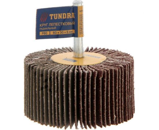 Круг лепестковый радиальный (60х30х6 мм; Р80) TUNDRA 1875467 