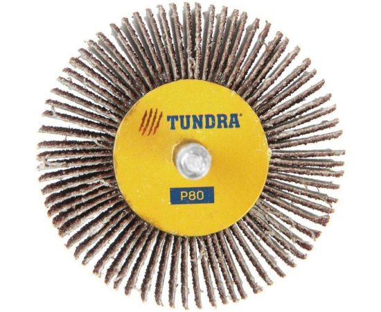 Круг лепестковый радиальный (60х30х6 мм; Р80) TUNDRA 1875467 – изображение 3