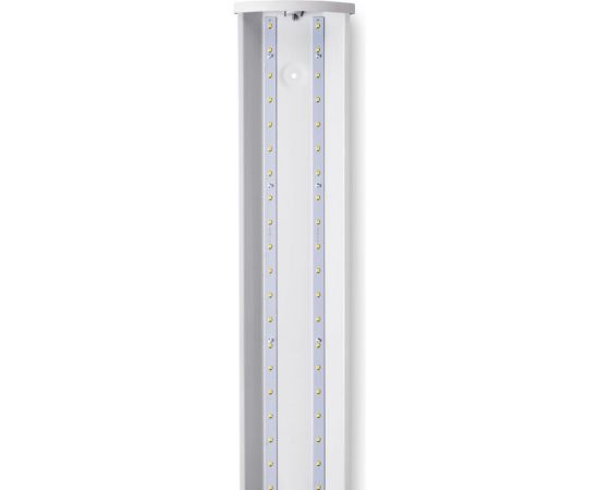 Светильник WOLTA PRO Лайт Прозрачный ДПО05-36-002-4К – изображение 3