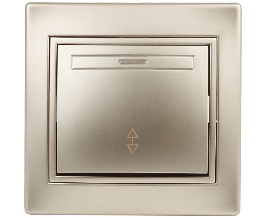 Переключатель Intro 10А 250В, IP20, СУ, Plano, шампань Б0030039 