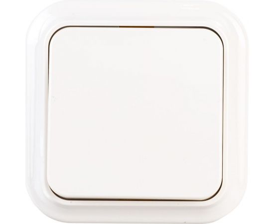 Выключатель Bylectrica 1-клавишная, открытая установка, 6А, серия ПРАЛЕСКА, А16-131 бежевый 