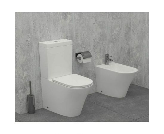 Jacob Delafon Чаша напольного унитаза Rodin+ 00270162 – изображение 3