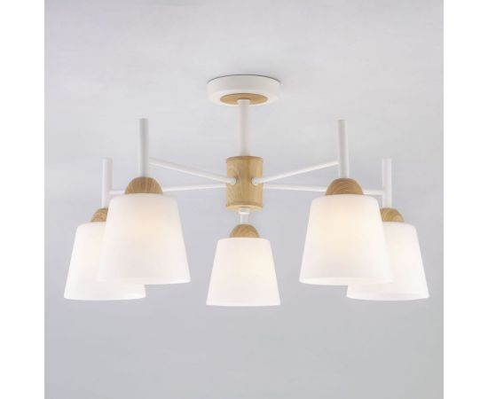 Eurosvet 70085 5 потолочный светильник белый 00000083420 