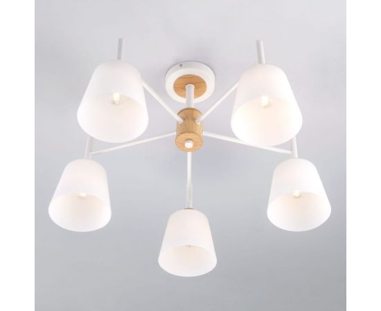 Eurosvet 70085 5 потолочный светильник белый 00000083420 – изображение 2