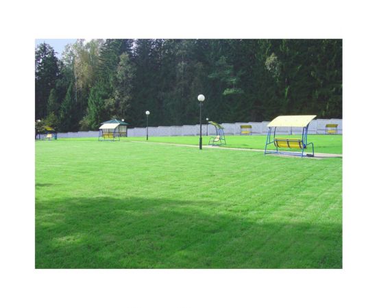 TM SORTLINE Семена газона смесь трав Универсальная 20кг в пакете 4620766500376 – изображение 2