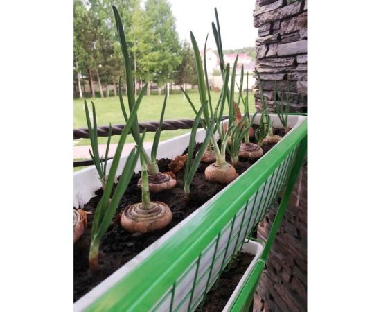 НАЙДИ Вертикальный огород 6 кашпо GO66018 – изображение 4