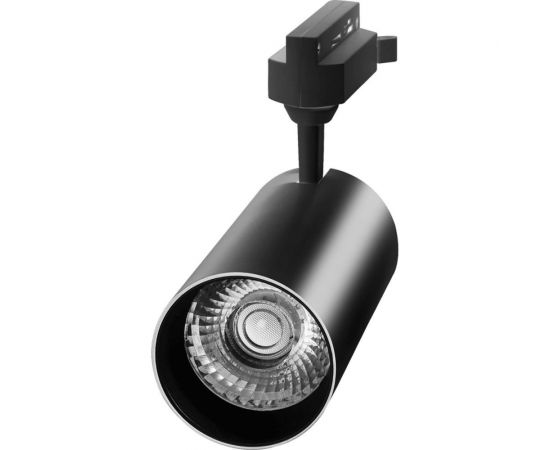 Прожектор Jazzway PTR 0732 32w 4000K 24гр. BL чёрный IP40 5015241 