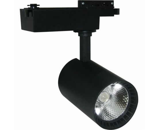 Потолочный светильник ARTE LAMP A2664PL-1BK 