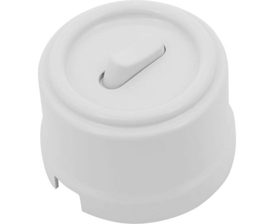 Выключатель Bironi 1-кл., пластик, цвет Белый (клавишный) B1-220-21 