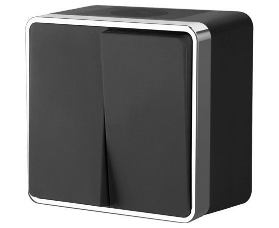 Выключатель WERKEL W5020235 двухклавишный влагозащищенный Gallant черныйхром a050976 
