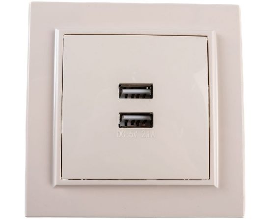 2-местная розетка USB EKF Минск СП 2,1А бежевая SQERR-2USB-200 ERR-2USB-200 