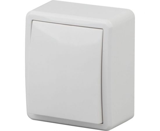 Выключатель ЭРА 11-1201-01, 10АХ-250В, IP20, ОУ, Эксперт, белый Б0020653 