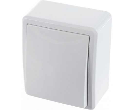 Выключатель ЭРА 11-1201-01, 10АХ-250В, IP20, ОУ, Эксперт, белый Б0020653 – изображение 2