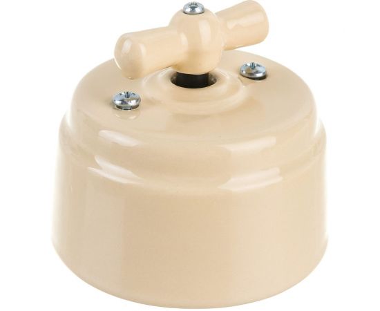 Поворотный выключатель Interior Electric керамика, слоновая кость, серия АРБАТ ВК003 – изображение 2