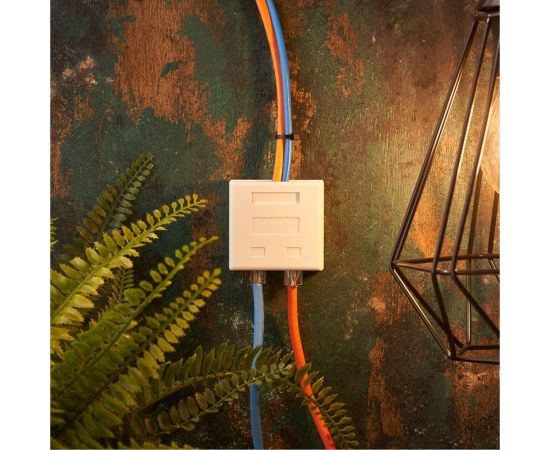 Комбинированная внешняя розетка REXANT RJ-45(8P-8C) + RJ-11(6P-4C), UTP 03-0120 – изображение 2