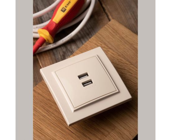 2-местная розетка USB EKF Минск СП 2,1А бежевая SQERR-2USB-200 ERR-2USB-200 – изображение 8