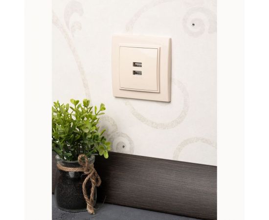 2-местная розетка USB EKF Минск СП 2,1А бежевая SQERR-2USB-200 ERR-2USB-200 – изображение 10