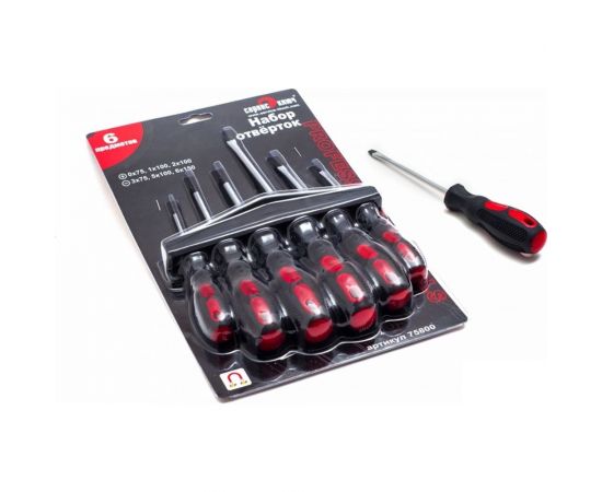 Набор отверток Сервис Ключ 6шт 75800 – изображение 3