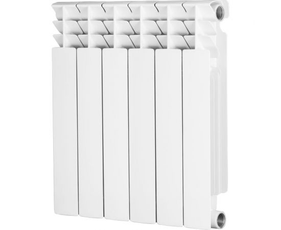Биметаллический радиатор Radena CN-RA CS 500/100 6 секций 009010406 