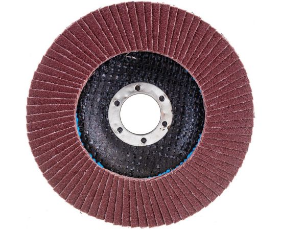 Круг лепестковый плоский Pro (125х22 мм; Р120) Flexione 10000658 – изображение 2