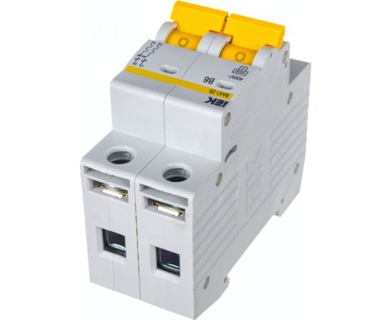 Автоматический выключатель IEK ВА47-29 2Р 6А 4,5кА х-ка В MVA20-2-006-B – изображение 3