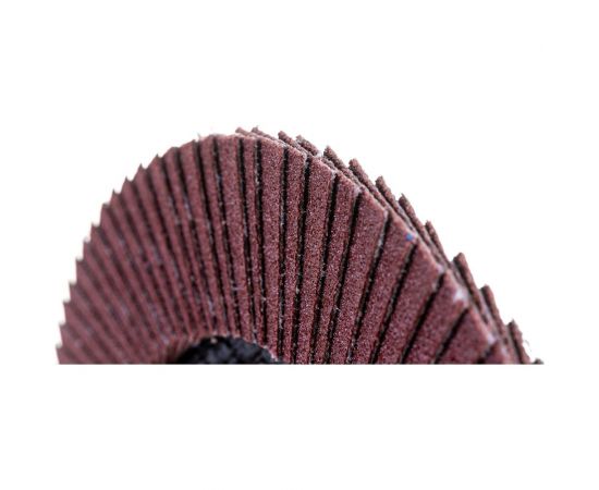 Круг лепестковый плоский Pro (125х22 мм; Р120) Flexione 10000658 – изображение 3