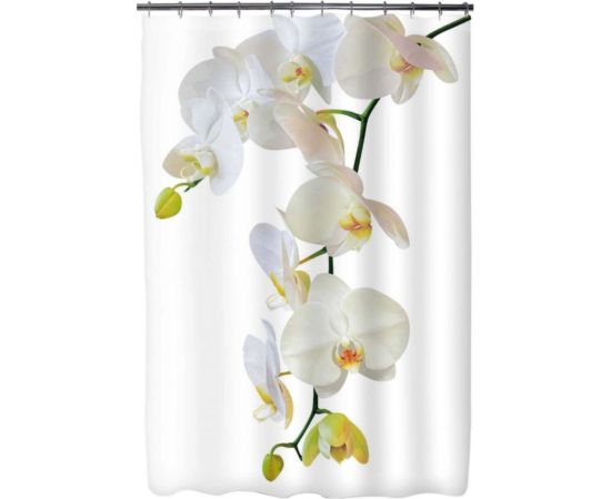 Шторка для ванной Fora Магия PH22 