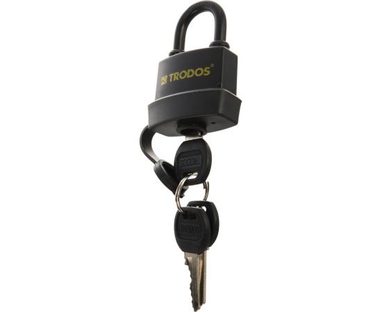 Навесной замок Trodos BC-IG1-45 Blister 210213 – изображение 3