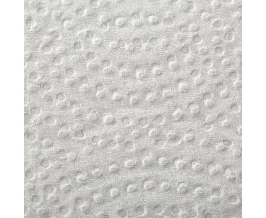 Бумажные полотенца Luscan Professional Z-сложения, 2-слойные, белые 784581 – изображение 5