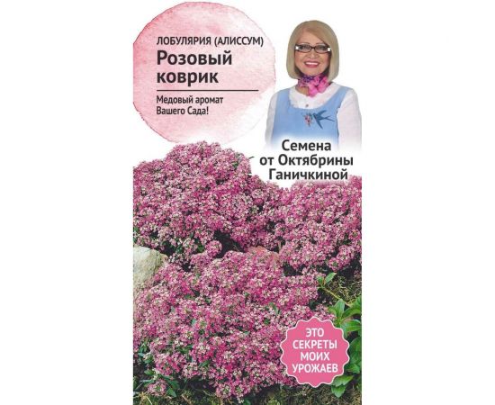 Семена ОКТЯБРИНА ГАНИЧКИНА Лобулярия (алиссум) Розовый коврик 0.1 г 119034 