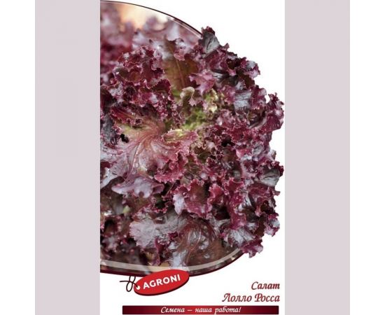 Семена Агрони Салат ЛОЛЛО РОССА 1802 