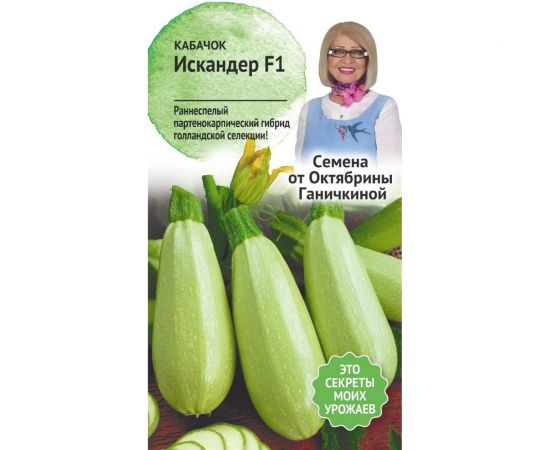 Семена ОКТЯБРИНА ГАНИЧКИНА Кабачок Искандер F1 5 шт. 120146 