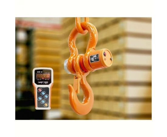 Крановые весы ВЭК-20000-Д 1036 – изображение 2