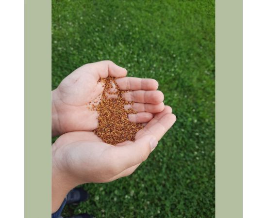 Семена белого клевера Сила Суздаля 150 г 4680004061441 – изображение 3