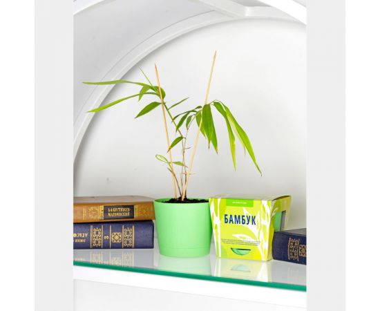 Набор для выращивания растений Тысяча Листьев Бамбук tl-019 – изображение 5