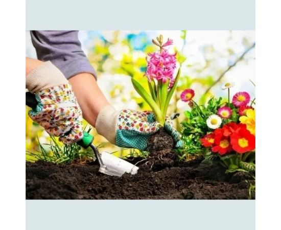 Грунт Сила Суздаля Универсальный Black, 5 л 4680004061427 – изображение 6