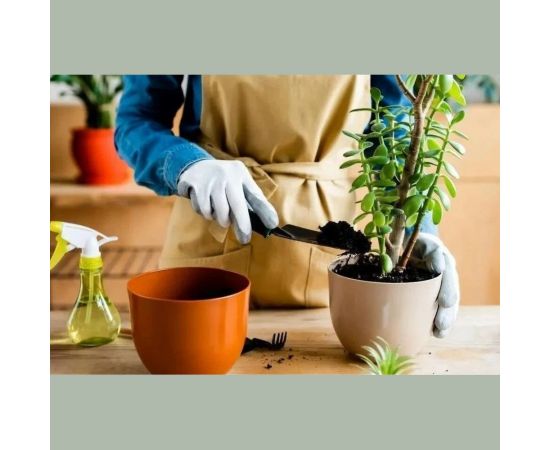 Грунт Сила Суздаля Универсальный Black, 5 л 4680004061427 – изображение 7