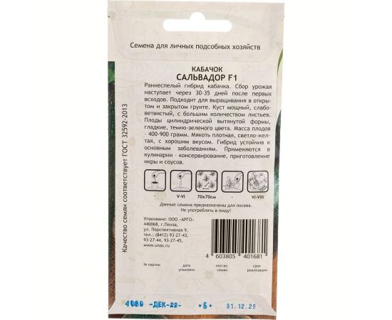 Семена САДОВИТА Кабачок Сальвадор F1 5 семечек 00183513 – изображение 5