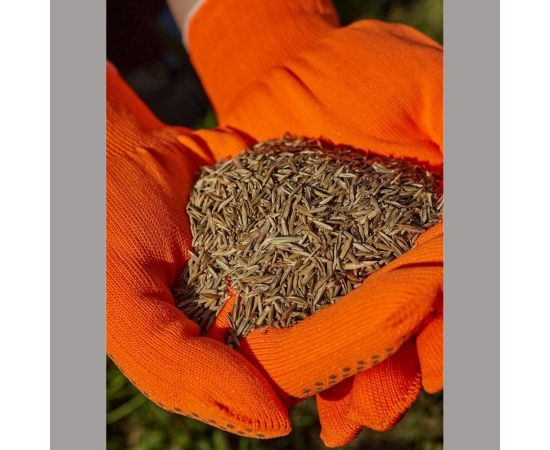 Газонная травосмесь Сила Суздаля Спортивная 3 кг 4680004061199 – изображение 4