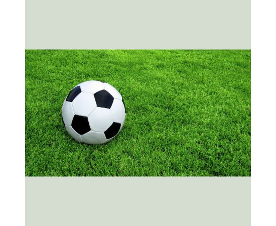 Газонная травосмесь Сила Суздаля Спортивная 3 кг 4680004061199 – изображение 5