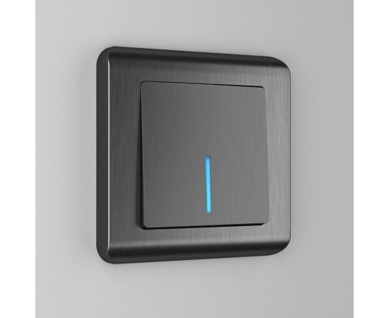 Одноклавишный выключатель WERKEL с подсветкой, графит, рифленый W1110104 a050749 – изображение 2