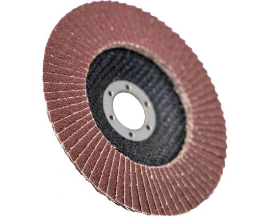 Круг лепестковый торцевой Profi (125х22.23 мм; корунд; P60) ОАО Волжский абразивный завод Н0170060 – изображение 4