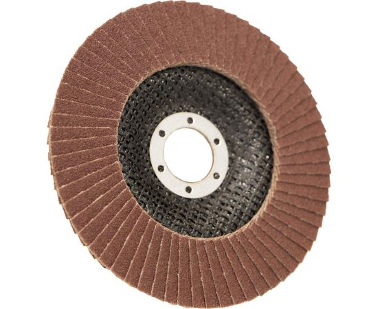 Круг лепестковый торцевой (125х22.23 мм; P120; корунд) CARBODISK Н0172135 – изображение 4